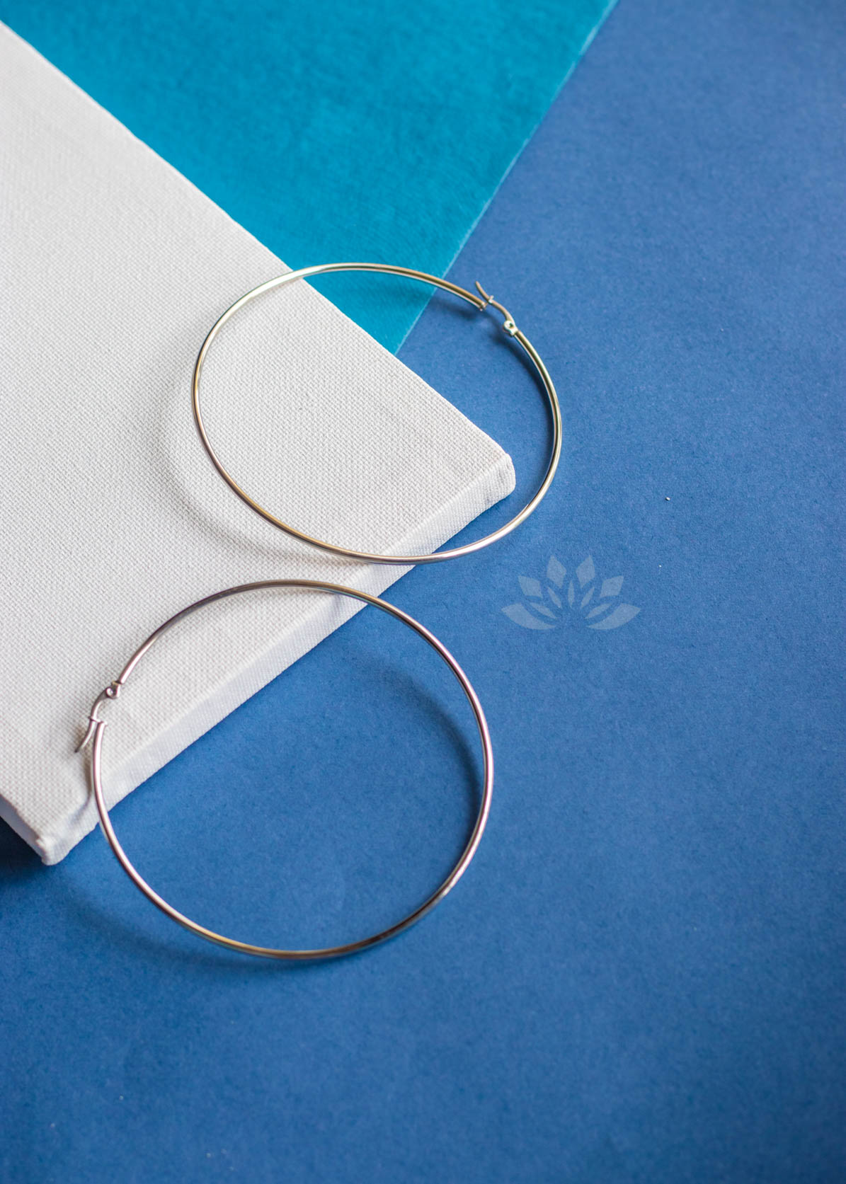 Silver Round Circle Hoop Fish Hook Earrings