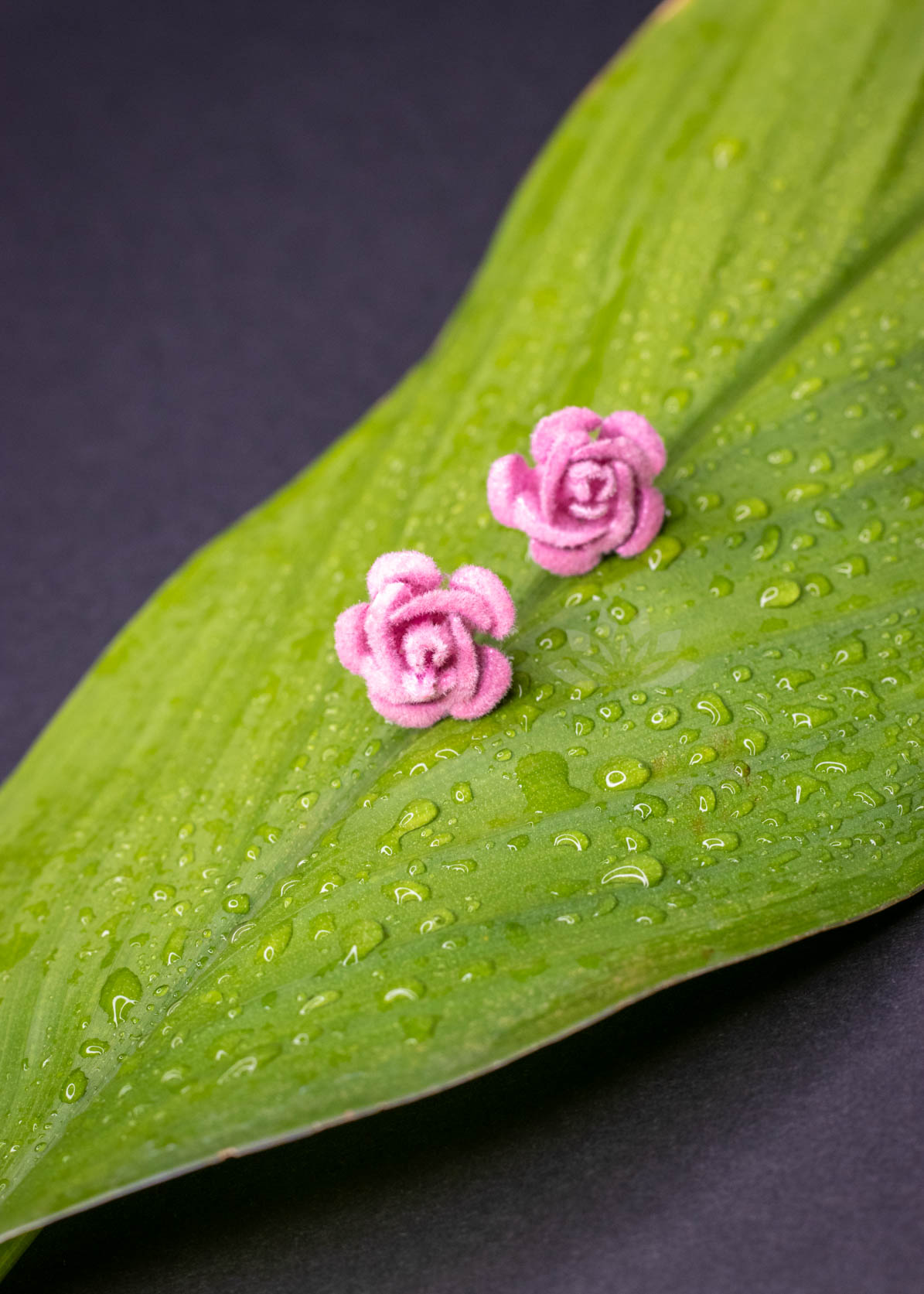 Baby Pink Rose Flower Stud Earrings